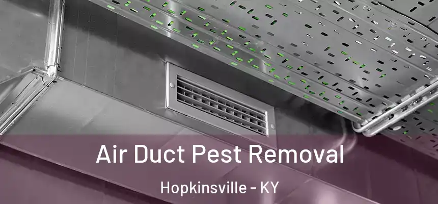  Air Duct Pest Removal Hopkinsville - KY
