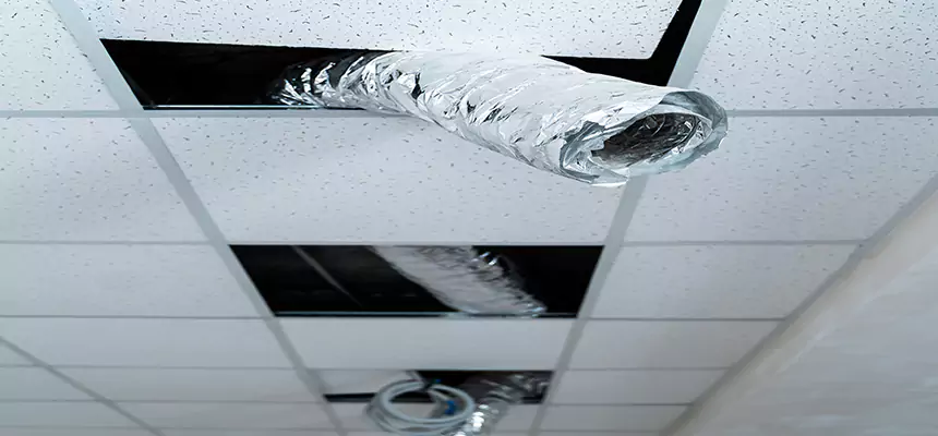 Affordable HVAC Sanitizing After Pest Removal in Hopkinsville