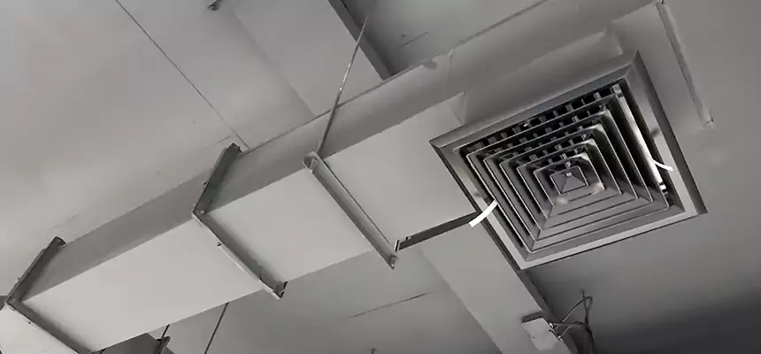 Our Rodent Droppings In Vents Services in Hopkinsville, KY