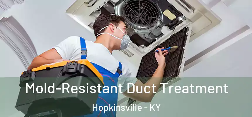 Mold-Resistant Duct Treatment Hopkinsville - KY