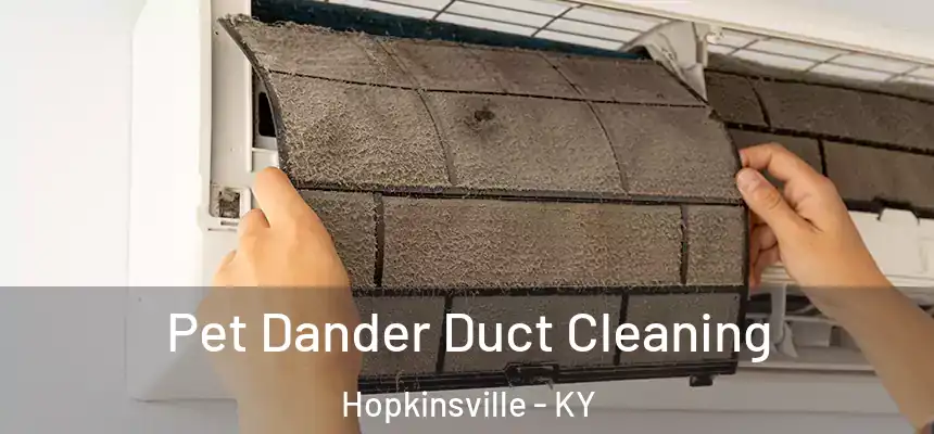  Pet Dander Duct Cleaning Hopkinsville - KY