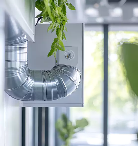 Professional Eco-Friendly Duct Cleaning Services in Hopkinsville, KY