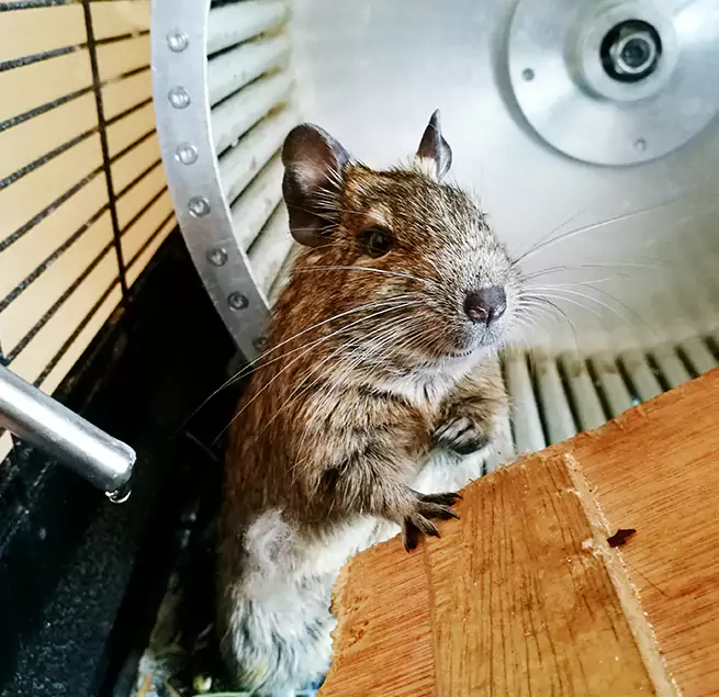 Why Homeowners & Businesses Trust Us Hopkinsville, KY?