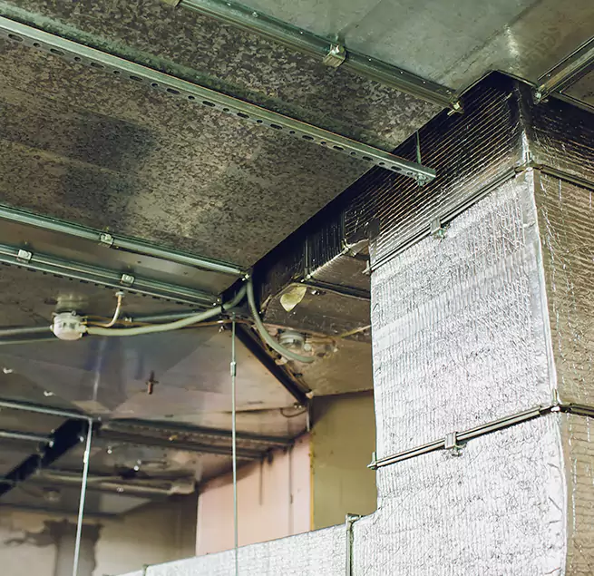 Why Homeowners & Businesses Trust Us in Hopkinsville, KY?